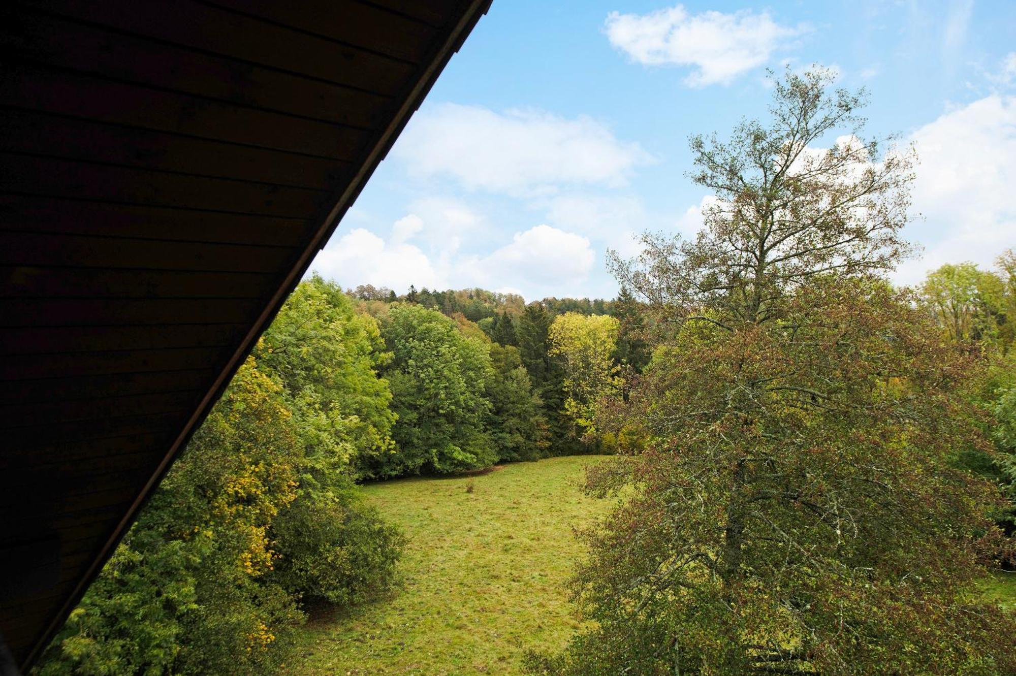 Landhaus Am Schmiedebach Wittenschwand Εξωτερικό φωτογραφία